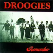 Droogies - Remember
