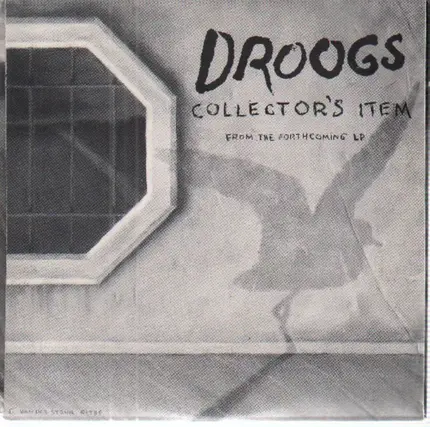 Droogs - Collector's Item / Webster Field
