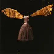 Dropsonic - Insects With Angel Wings