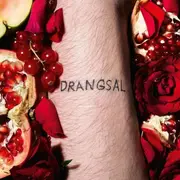 LP - Drangsal - Harieschaim (black Vinyl Inkl.Mp3 Code)