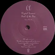 2 x 12'' - Drexciya - Harnessed The Storm