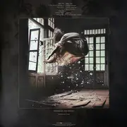 Double LP - Dream Theater - Parasomnia - Limited Edition, Clear, 180g