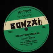 Dream Your Dream - III