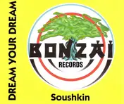 Dream Your Dream - Soushkin