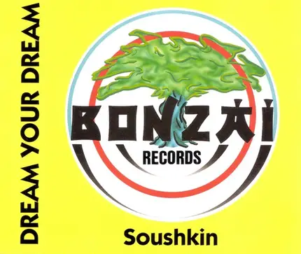 Dream Your Dream - Soushkin