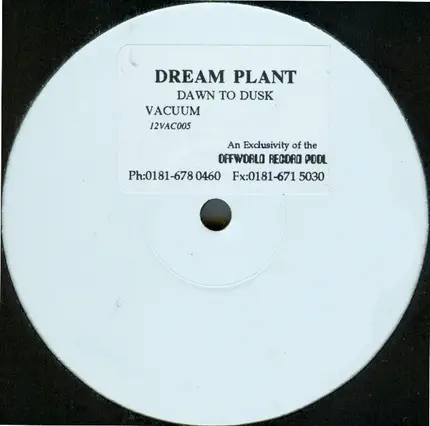Dream Plant - Dawn to Dusk