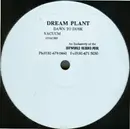 12inch Vinyl Single - Dream Plant - Dawn To Dusk