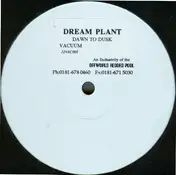 Dream Plant - Dawn to Dusk