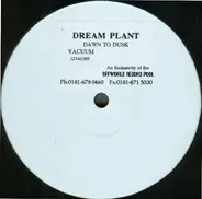 Dream Plant - Dawn to Dusk