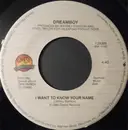 7inch Vinyl Single - Dreamboy - I Want To Know Your Name / Don't Go