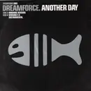 12inch Vinyl Single - Dreamforce - Another Day