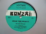 Dream Your Dream - III