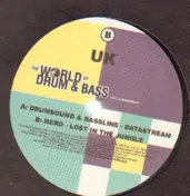 Drumsound - Datastream / Lost In The Jungle