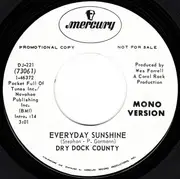 7inch Vinyl Single - Dry Dock County - Everyday Sunshine - company sleeve