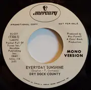 7inch Vinyl Single - Dry Dock County - Everyday Sunshine - company sleeve