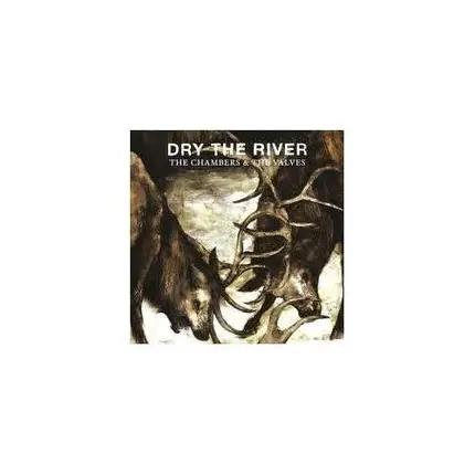 DRY THE RIVER - CHAMBER & THE VALVES
