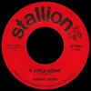 7inch Vinyl Single - Dwain Story - A Little Lovin'
