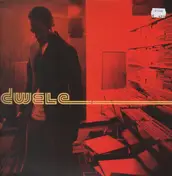 Dwele - Find A Way / Truth