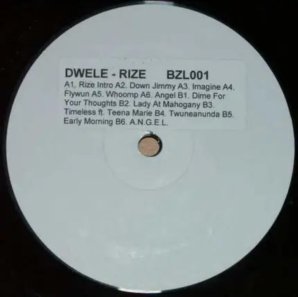 Dwele - Rize