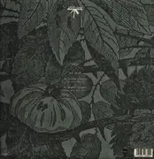 12inch Vinyl Single - Dwig - Big Tales - only vinyl pressing