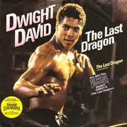 7inch Vinyl Single - Dwight David - The Last Dragon