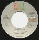 7inch Vinyl Single - Dwight Twilley - Little Bit Of Love