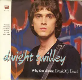 Dwight Twilley - Why You Wanna Break My Heart