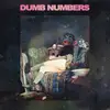 LP & MP3 - DUMB NUMBERS - II