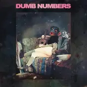 DUMB NUMBERS - II