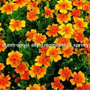 CD - Dumb Angel - Eight Moments Of Spring