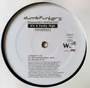 12'' - Dumb Funkers - It's A Funky High - Promo