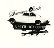 Duncan Sheik - White Limousine