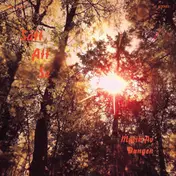 Dungen - Satt Att Se