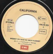 7inch Vinyl Single - Duo California - Shululu