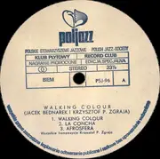 LP - Duo Bednarek-Zgraja - Walking Colour - unplayed