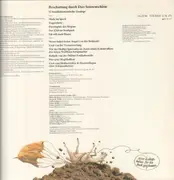 LP - Duo Sonnenschirm - Beschattung Durch... - rare folk rock