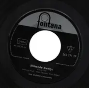 Duo Schönborn-Ackermann - Blühende Zweige
