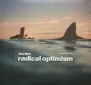 LP - Dua Lipa - Radical Optimism - incl. Insert