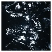 Duane Pitre - Bayou Electric