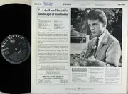 LP - Duane Eddy - Lonely Guitar