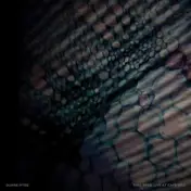 Duane Pitre - Feel Free: Life At..