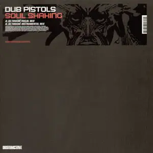 Dub Pistols - Soul Shaking (DJ Touché Remix)