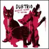LP - DUB TRIO - ANOTHER SOUND IS DYING - FT. MIKE PATTON ON 'NO FLAG'