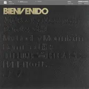 12inch Vinyl Single - Dublex Inc. - Bienvenido EP