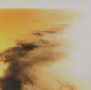 CD - Duchess Leo - Golden Gray