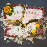 CD - Dude York - Falling - Digisleeve