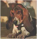 LP - Duffy - Just In Case You're Interested... - Gatefold
