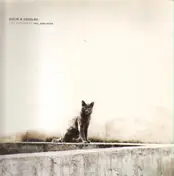 DUIJN & DOUGLAS - Cat Concrete