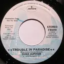 7inch Vinyl Single - Duke Jupiter - Trouble In Paradise