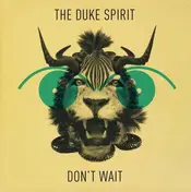 The Duke Spirit - DON'T WAIT